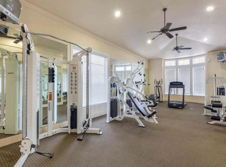 Fitness Center with a treadmill, free weights, ceiling fans, and large spacious windows